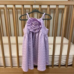 Janie & Jack Purple Rosette Dress NWT